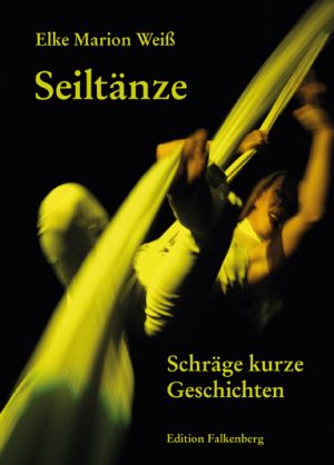Seiltänze. Schräge kurze Geschichten
